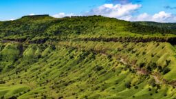 Scenic Windy Motor Road through Lush Green Plateau of Maharashtra's Western Ghats