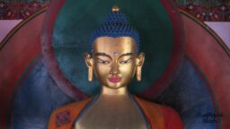 Meditative Buddha Statue in a Monastery - Manali - Himachal Pradesh