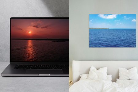 Freezed Frames - Explore the Collection of Digital Downloads